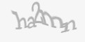 Varnostna koda