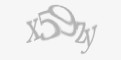 Varnostna koda