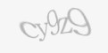 Varnostna koda