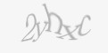 Varnostna koda