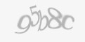 Varnostna koda