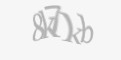 Varnostna koda