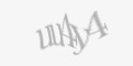 Varnostna koda